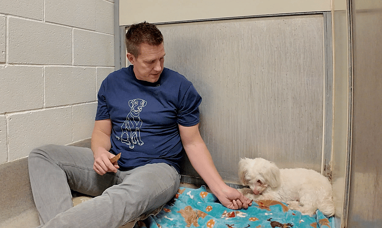 Sitting with dogs 73